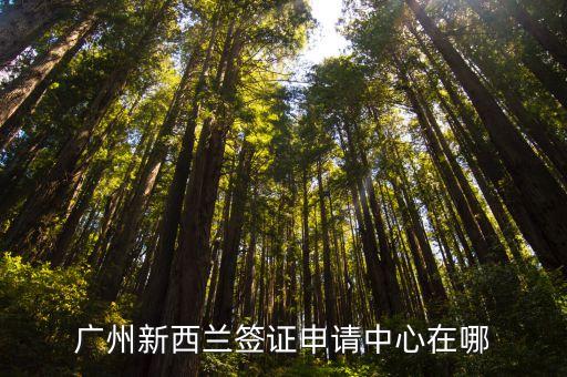 新西蘭恒天然廣州辦事處電話，新西蘭在廣州有領(lǐng)事館嗎簽證是否要送到香港辦理