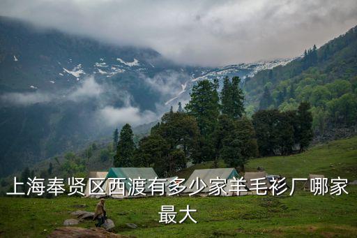 上海市有多少個針織毛衣廠，上海奉賢區(qū)西渡有多少家羊毛衫廠哪家最大