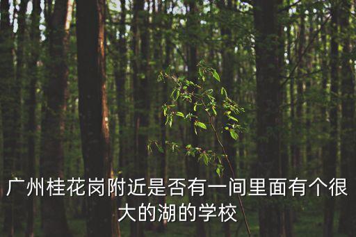 廣州萬科o境學(xué)校，廣州番禺區(qū)南村鎮(zhèn)劍橋郡里面的那所學(xué)校怎么樣