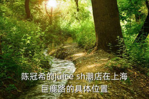上海市巨鹿路153號，adidas 上海旗艦店在哪里