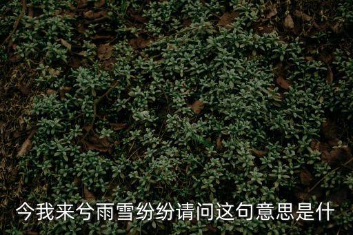 今我來兮雨雪紛紛請問這句意思是什