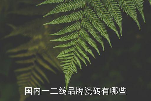 國內(nèi)一二線品牌瓷磚有哪些