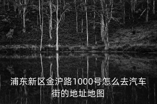 浦東新區(qū)金滬路1000號怎么去汽車街的地址地圖