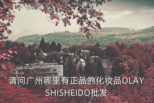 請問廣州哪里有正品的化妝品OLAYSHISHEIDO批發(fā)