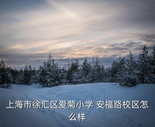 上海市徐匯區愛菊小學 安福路校區怎么樣