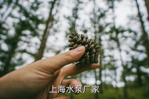 上海市第一水泵丁有限公司，上海水泵廠家