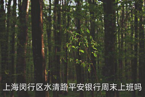上海市平安銀行閔行支行，平安銀行在閔行區地址