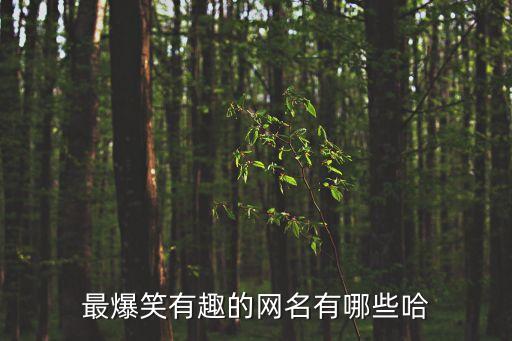 幽默風趣的網名，求網名搞笑有趣的