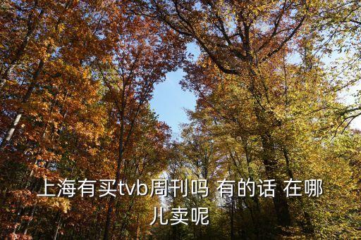 上海有買tvb周刊嗎 有的話 在哪兒賣呢