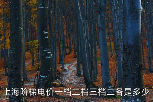 上海階梯電價一檔二檔三檔二各是多少