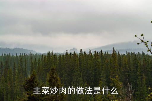 韭菜炒肉的做法是什么