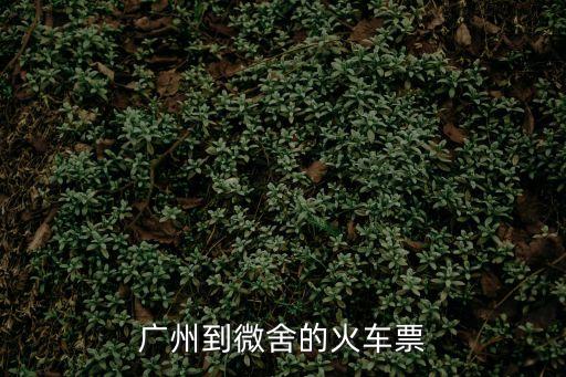 廣州到微舍的火車票