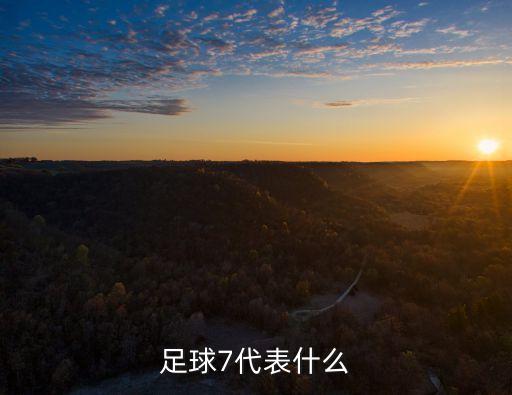 足球7號(hào)，足球7代表什么