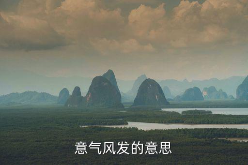 意氣奮發(fā)，意氣風(fēng)發(fā)的意思