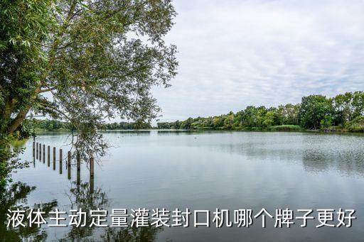 廣州騰卓灌裝，液體主動定量灌裝封口機哪個牌子更好