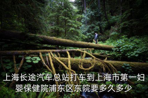 上海長途汽車總站打車到上海市第一婦嬰保健院浦東區東院要多久多少