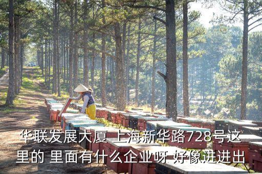 華聯發展大廈 上海新華路728號這里的 里面有什么企業呀 好像進進出