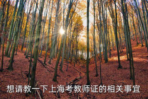 想請教一下上海考教師證的相關(guān)事宜