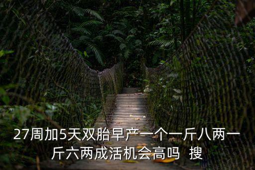 27周加5天雙胎早產(chǎn)一個(gè)一斤八兩一斤六兩成活機(jī)會(huì)高嗎  搜