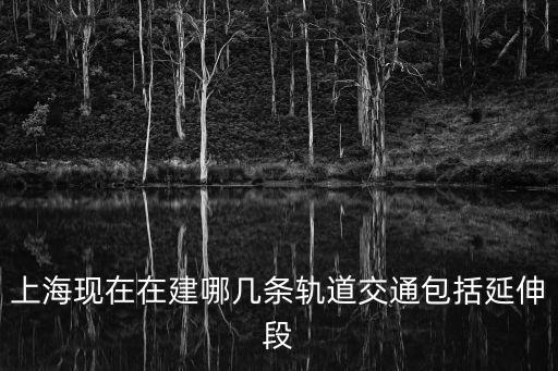 上海市軌道交通建設，上海現在在建哪幾條軌道交通包括延伸段