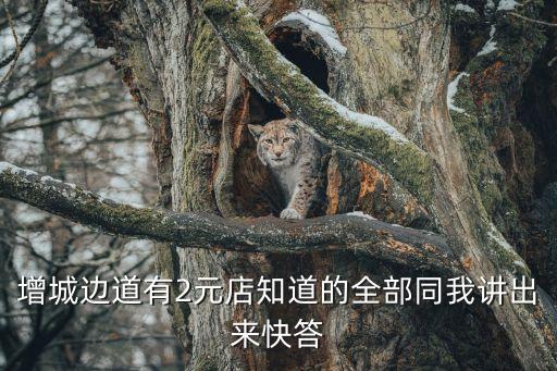 廣州增城便利店交流，增城邊道有2元店知道的全部同我講出來快答