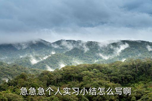 實習結果，實習小結怎么寫啊