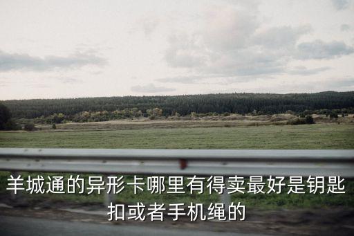 羊城通的異形卡哪里有得賣最好是鑰匙扣或者手機繩的