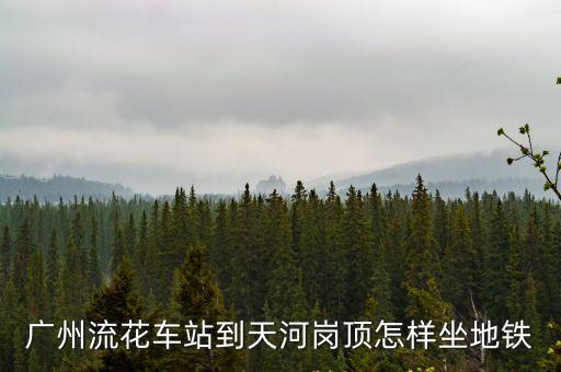 廣州流花車站到崗頂有多遠，廣州流花車站怎么去崗頂怎么去