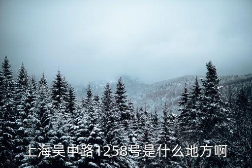 上海市吳中路1258號二百，上海吳中路1258號是什么地方啊