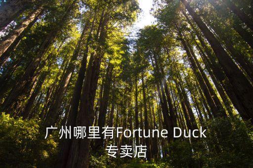 廣州必邁實體店，廣州哪里有Fortune Duck專賣店