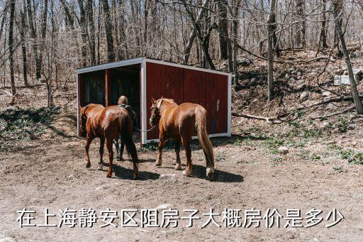 上海市靜安區(qū)南星小區(qū)二手房，南星苑有多少個小區(qū)