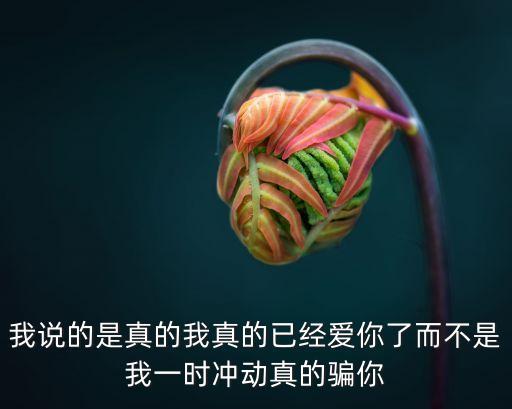 我說的是真的，我說一切都是真的有人相信嗎
