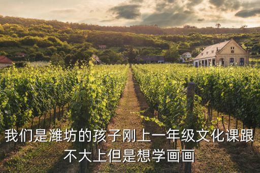 我們是濰坊的孩子剛上一年級文化課跟不大上但是想學畫畫