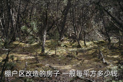 棚戶區改造的房子 一般每平方多少錢