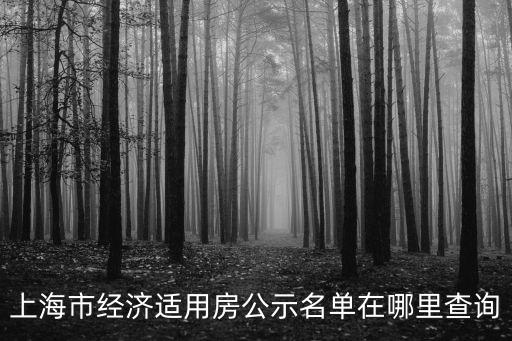 上海市經(jīng)適房網(wǎng)站查詢(xún)，上海閘北區(qū)經(jīng)適房搖號(hào)結(jié)果哪里找