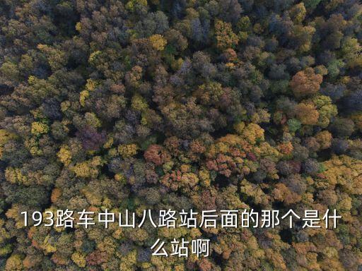 193路車中山八路站后面的那個是什么站啊