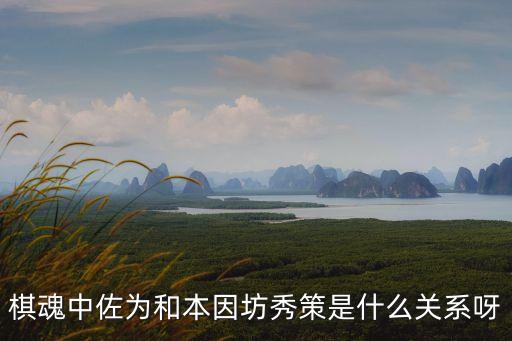 棋魂中佐為和本因坊秀策是什么關系呀