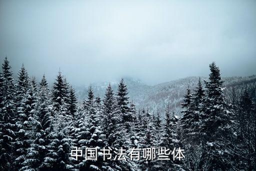 中國書法字體，中國書法的字體有哪些
