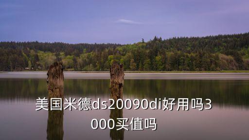 美國米德ds20090di好用嗎3000買值嗎