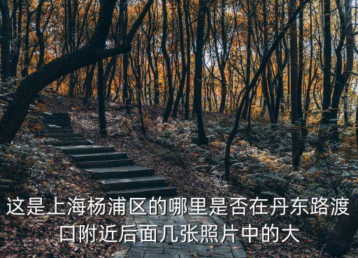 上海市楊浦濱江延申段最新消息，楊浦區(qū)濱江發(fā)展規(guī)劃