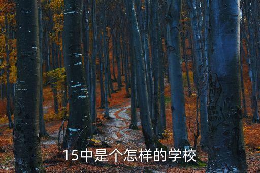 15中是個怎樣的學校