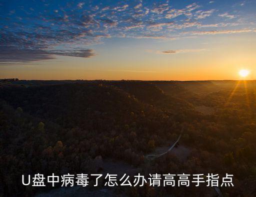 U盤中病毒了怎么辦請高高手指點
