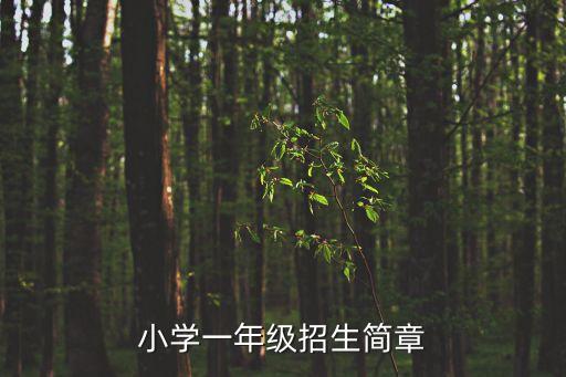 小學一年級招生簡章