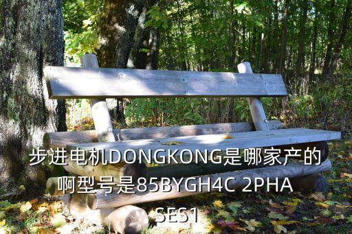 步進電機DONGKONG是哪家產的啊型號是85BYGH4C 2PHASES1