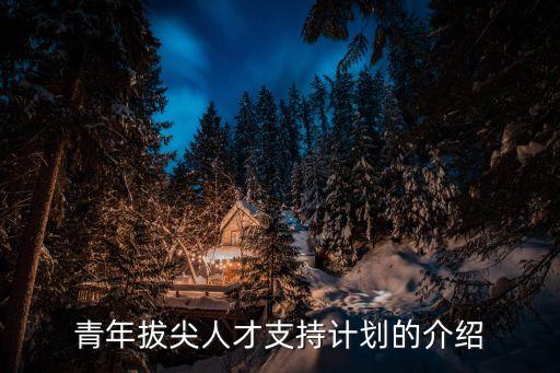 上海市中青年拔尖人才，青年拔尖人才支持計劃的介紹