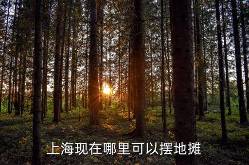 上海市有合法的地攤嗎，你能告訴我上海哪些地方可以擺地攤嗎