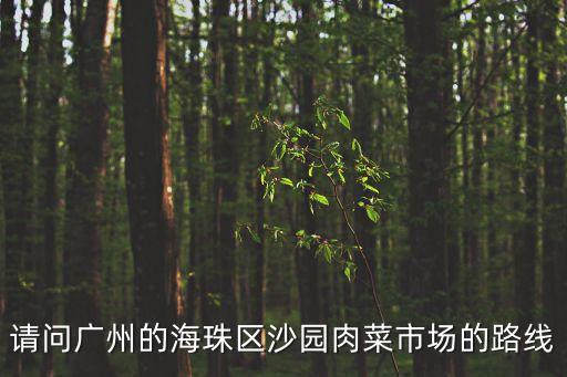 請問廣州的海珠區沙園肉菜市場的路線