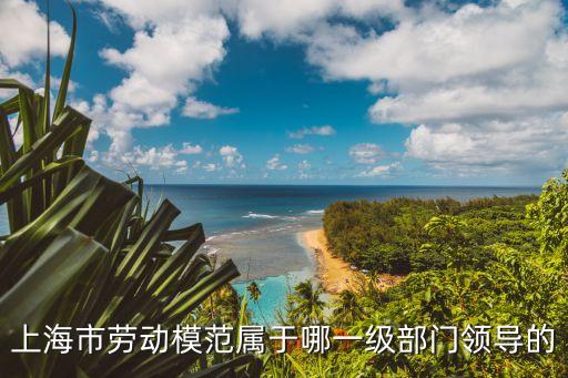 上海市勞動模范屬于哪一級部門領導的