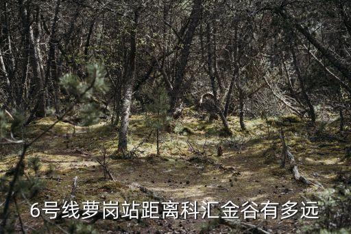 廣州蘿崗區(qū)車輛段6號線，想知道廣州市 六號地鐵線在哪