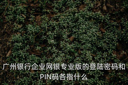 廣州銀行企業(yè)網銀專業(yè)版的登陸密碼和PIN碼各指什么